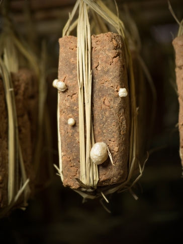 불가피한 상황과 피치 못할 사정들<br />
The Inevitable, Inacceptable